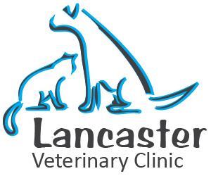 Logo for Lancaster Veterinary Clinic Lancaster, Ontario